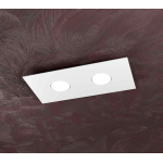 AREA PLAFONIERA RETTANGOLARE 2XGX53 METALLO BIANCO 