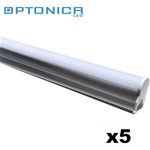 KIT 5 TUBI LED T5 31CM 4W BIANCO FREDDO 6000K 320LM OPTONICA